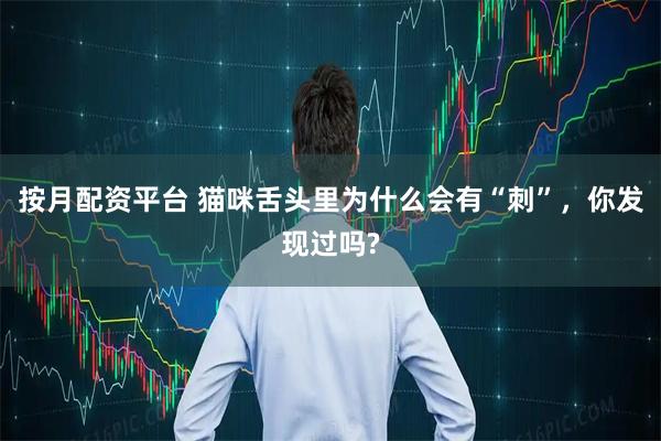 按月配资平台 猫咪舌头里为什么会有“刺”，你发现过吗?